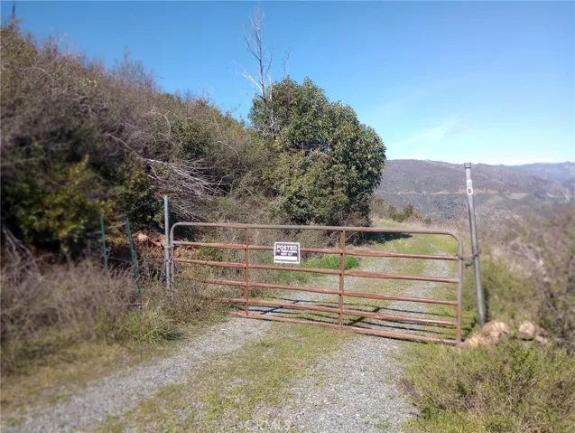 main driveway at the beginning of 151 acres