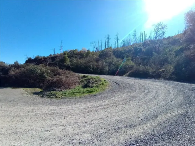 road by the turnout