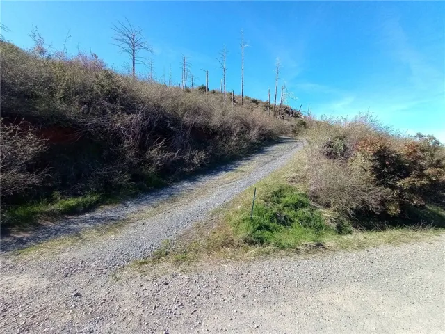 Driveway #1 the beginning of 151 acres