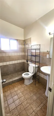 Hall bathroom
