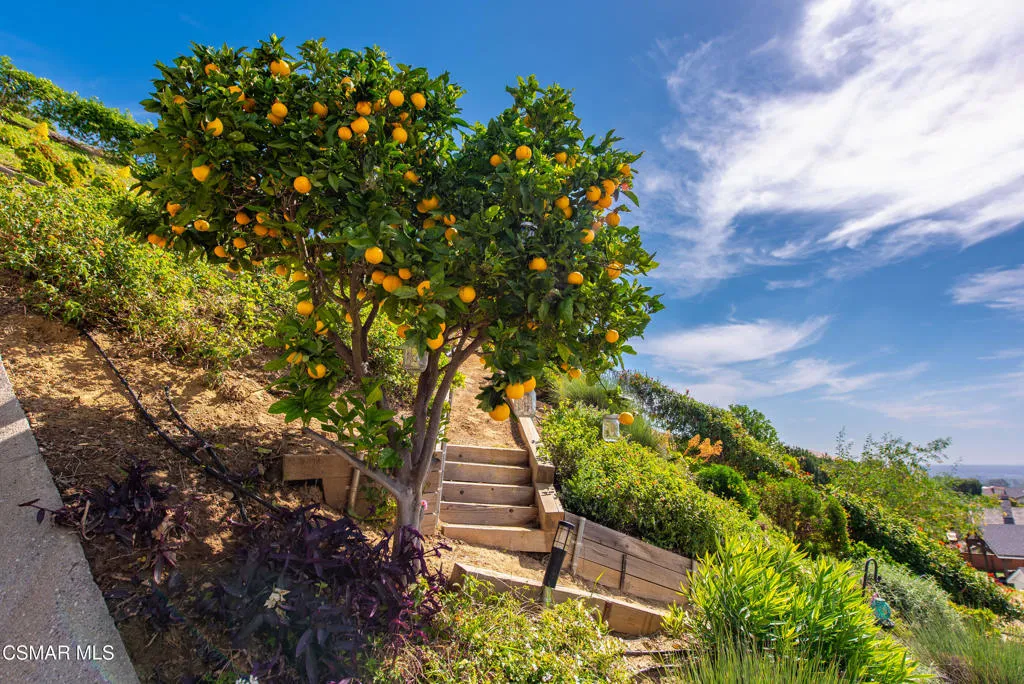 730 Creekmont Court, Ventura, California 93003 home-pic-44