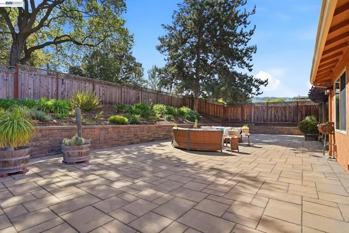 Low maintenance back yard