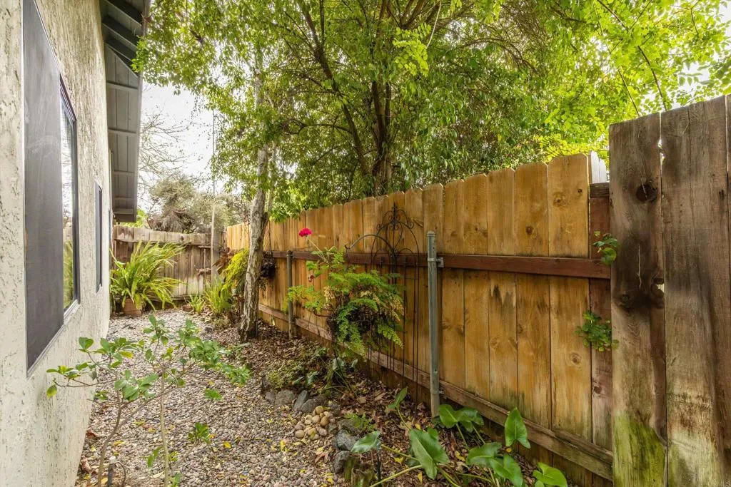 Side Yard