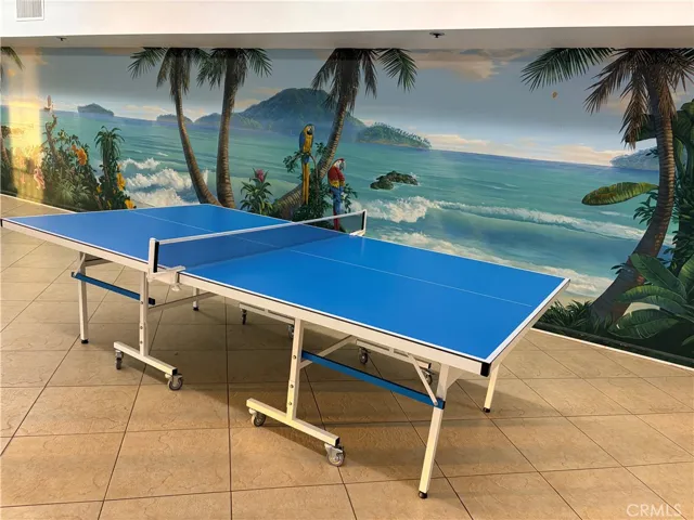 Community table Tennis
