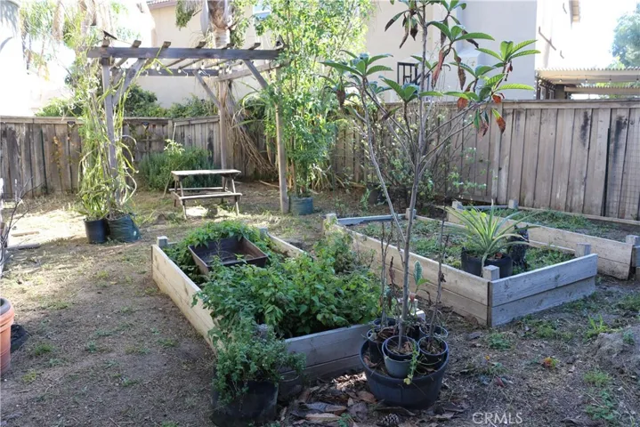 Backyard garden rightside of house