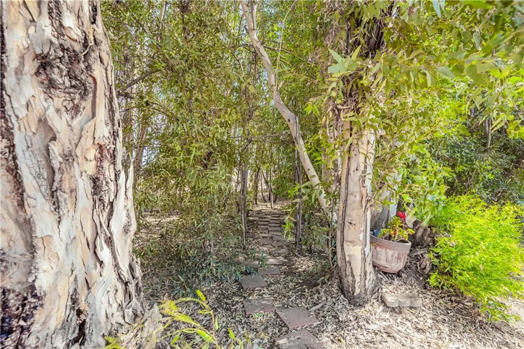 28200 Patterson Avenue, Winchester, California 92596 home-pic-60