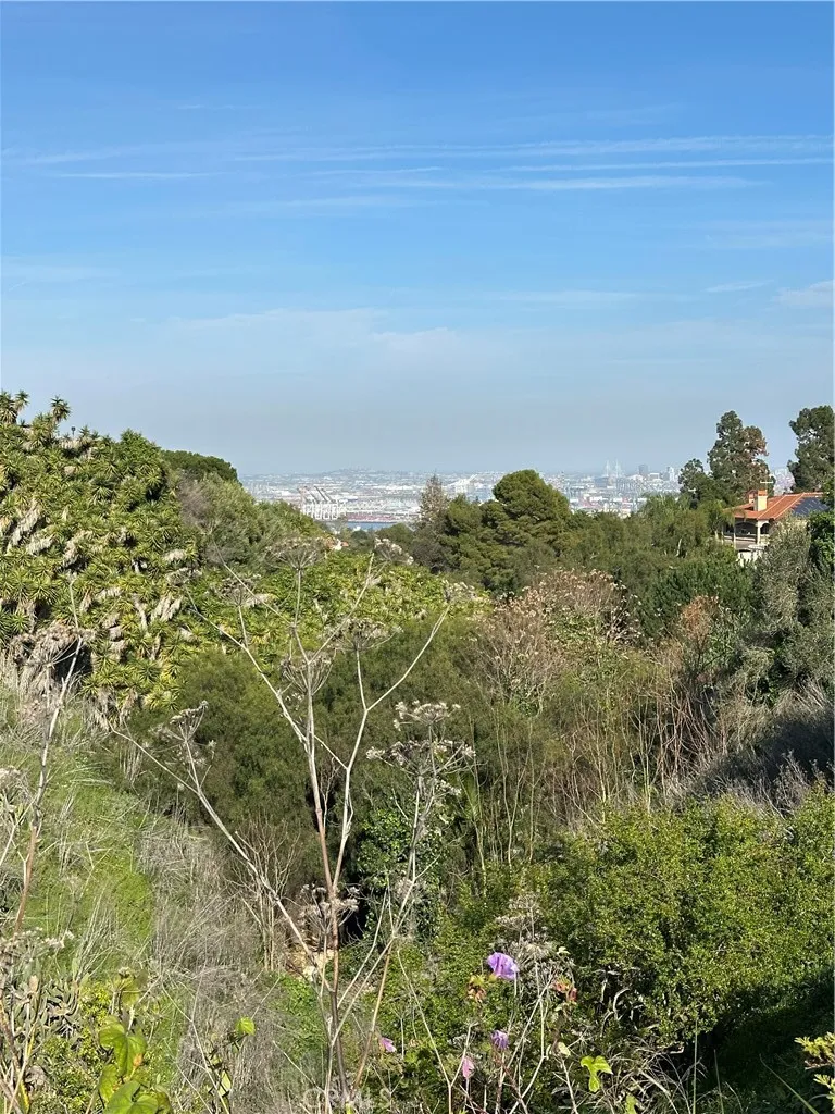 1924 W 1st, San Pedro, California 90732 home-pic-18