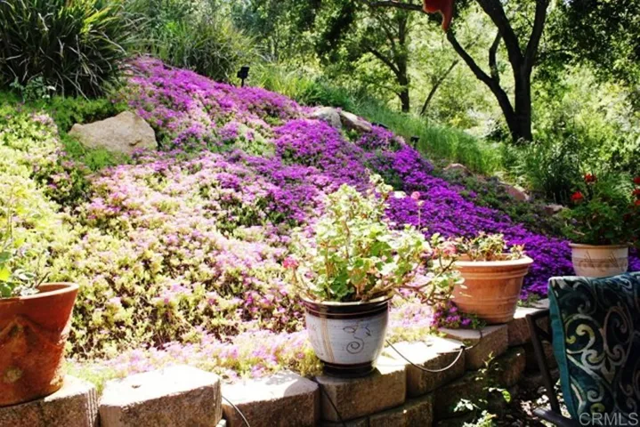 Private & Serene Rear Yard.