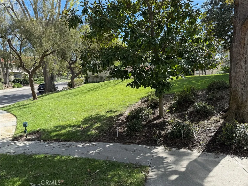 891 Ronda Sevilla O, Laguna Woods, California 92637 home-pic-20