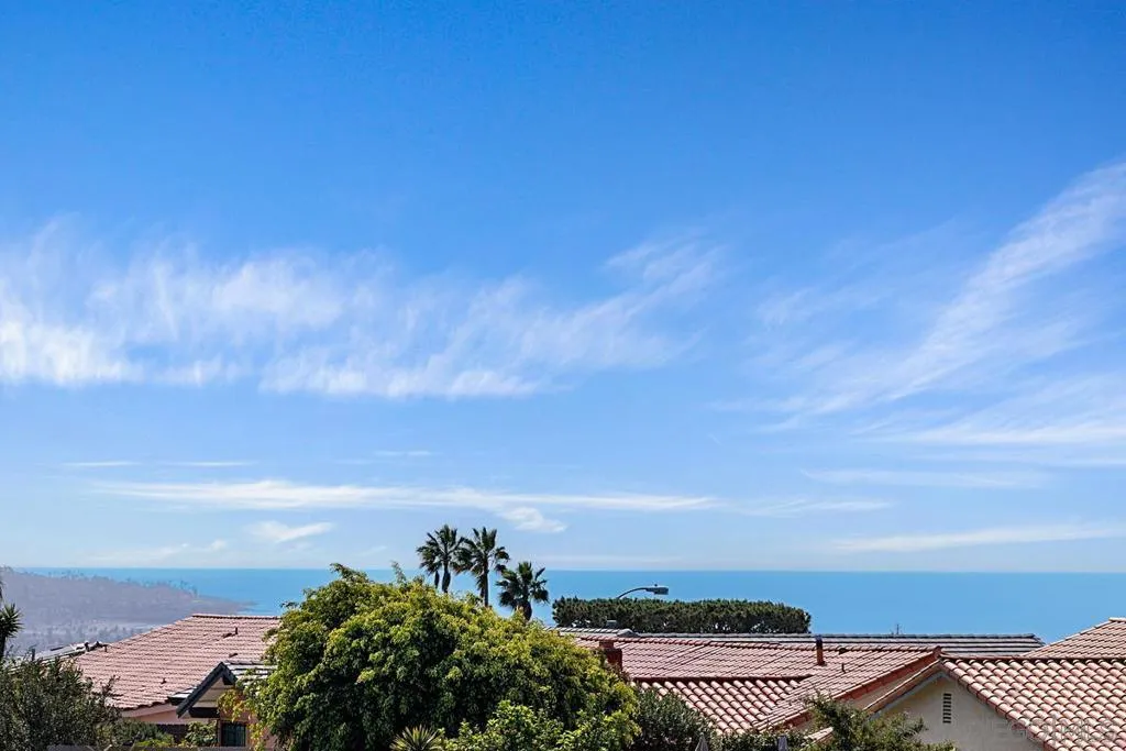 1617 Calle Alta, La Jolla, California 92037 home-pic-40