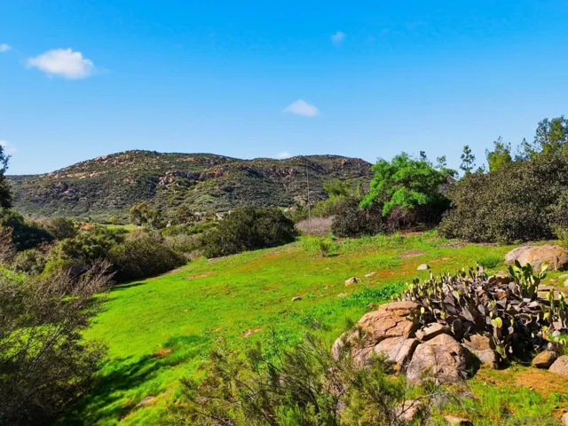 432 Arnold Way, Alpine, California 91901
