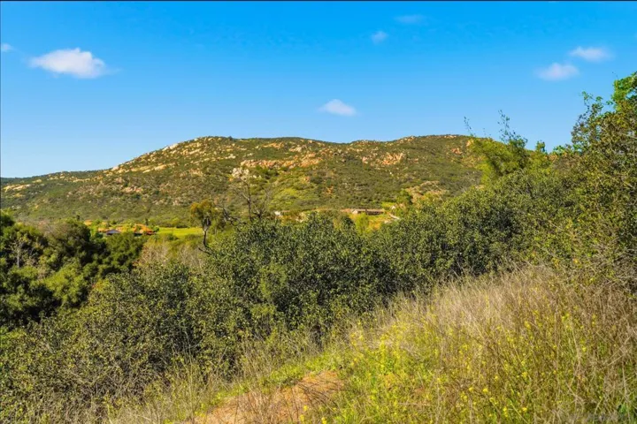 432 Arnold Way, Alpine, California 91901