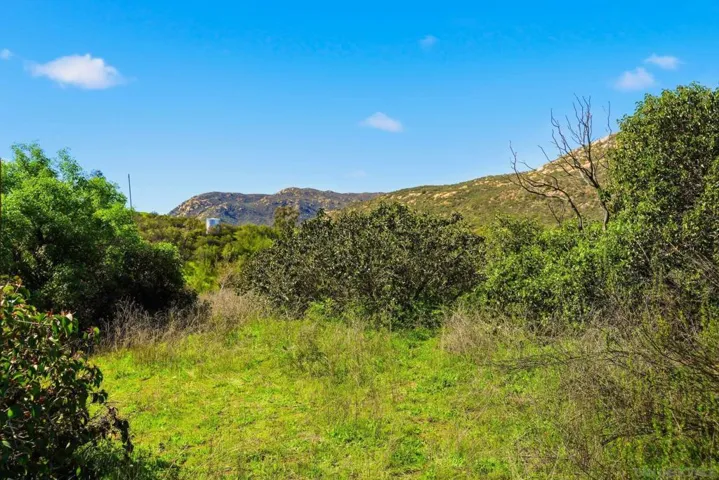 432 Arnold Way, Alpine, California 91901