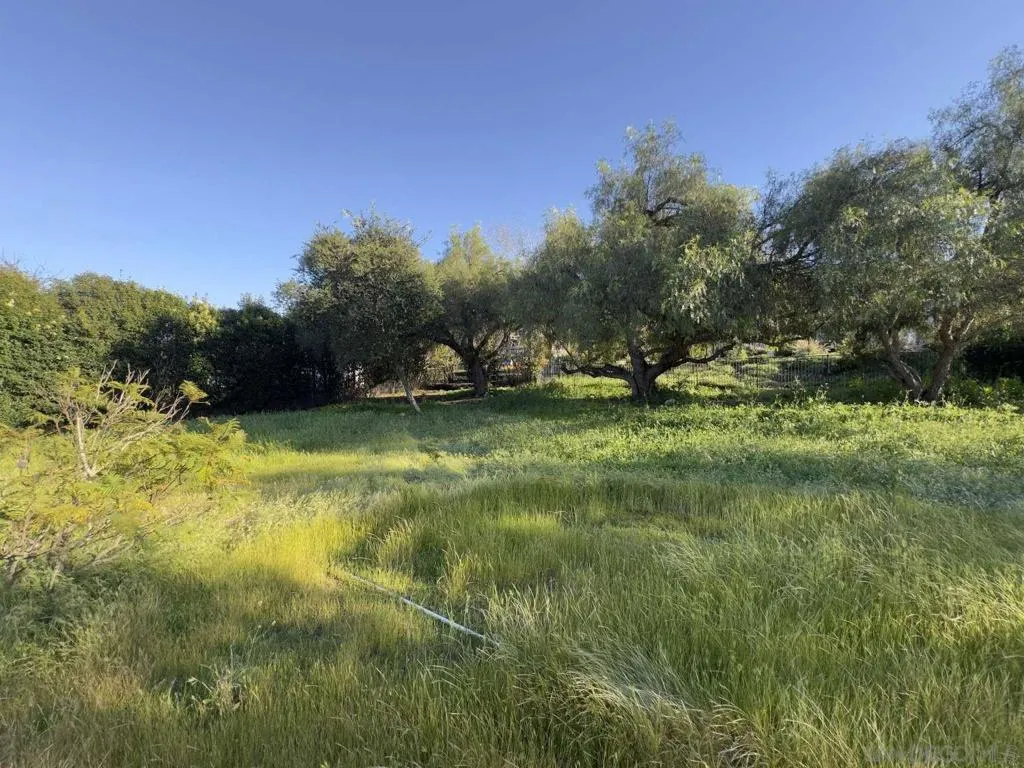 2227 Mapleleaf Ave, Thousand Oaks, California 91320 home-pic-31