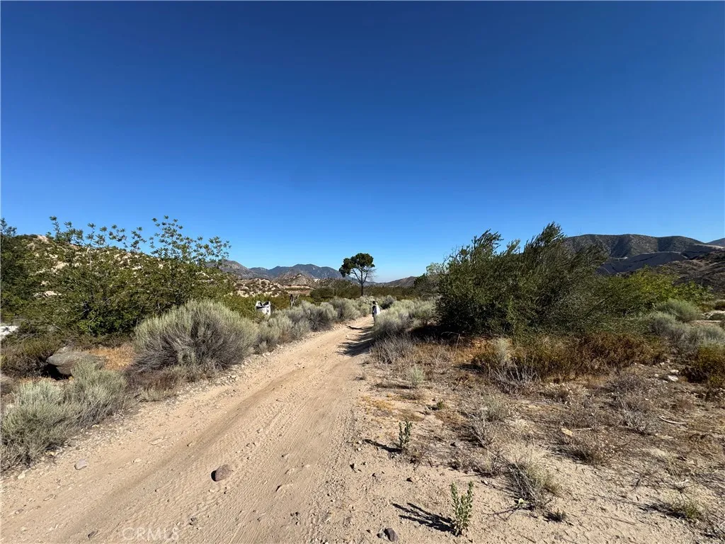 4292 Davis Ranch Rd