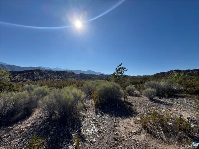 4292 Davis Ranch Road, Phelan, California 92371