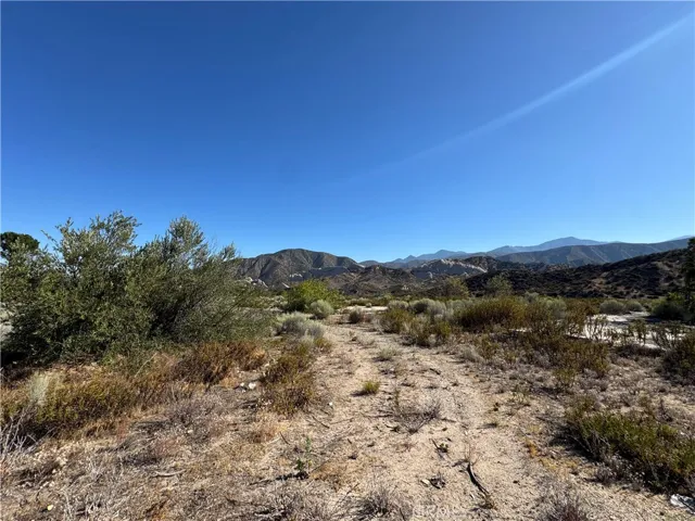 4292 Davis Ranch Road, Phelan, California 92371