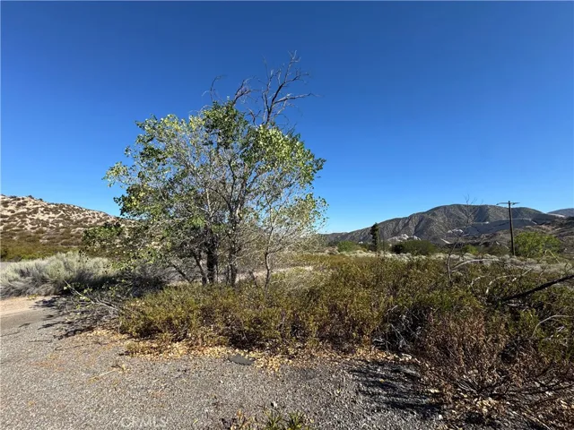 4292 Davis Ranch Road, Phelan, California 92371