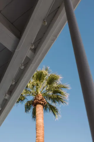 748 N Calle Rolph-24