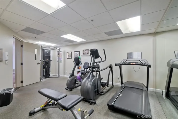 Modern cardio equipment and universal weight machine.