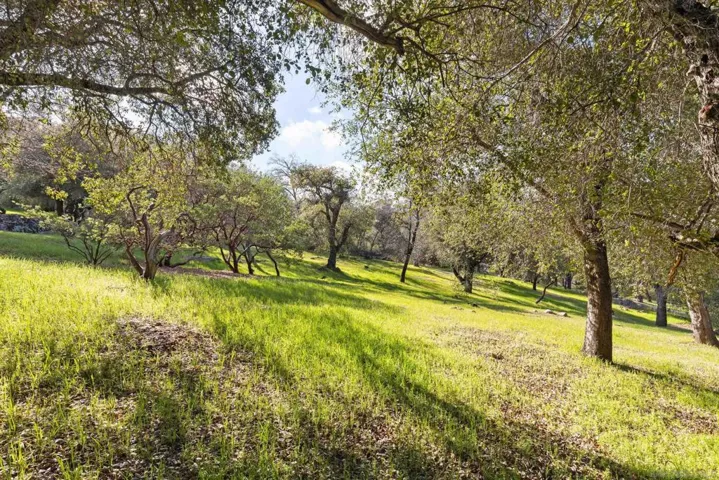 3591 Deer Lake Park Rd, Julian, California 92036