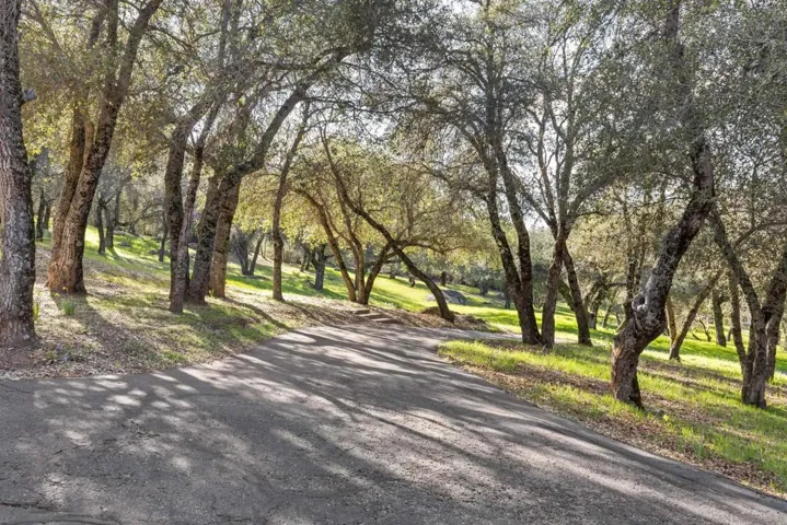 3591 Deer Lake Park Rd, Julian, California 92036