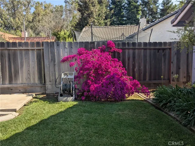 Flowers when they are in full bloom