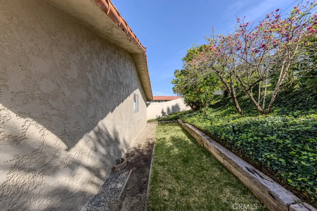 Side yard with some fruit trees
