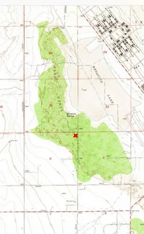 This property is uniquely positioned in the heart of the Mesquite Dunes Bosque, a rare desert habitat known for its established mesquite groves and historically higher water table. As shown on the map, the home sits centrally within this greenbelt area