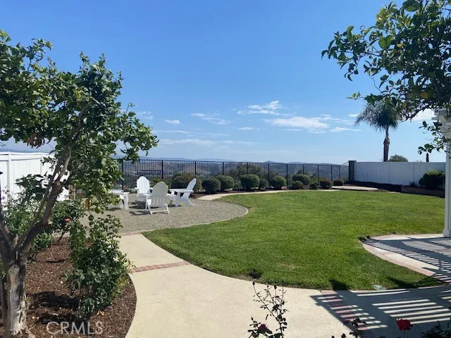 Rear Yard 2