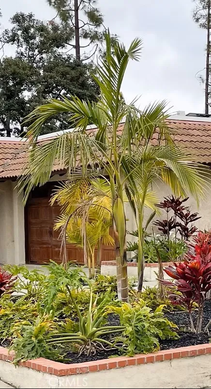 24182 Adonis, Mission Viejo, California 92691 home-pic-3