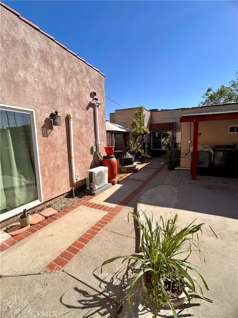 Common Backyard