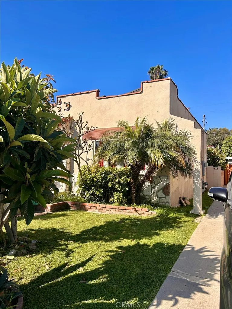 Front Yard
