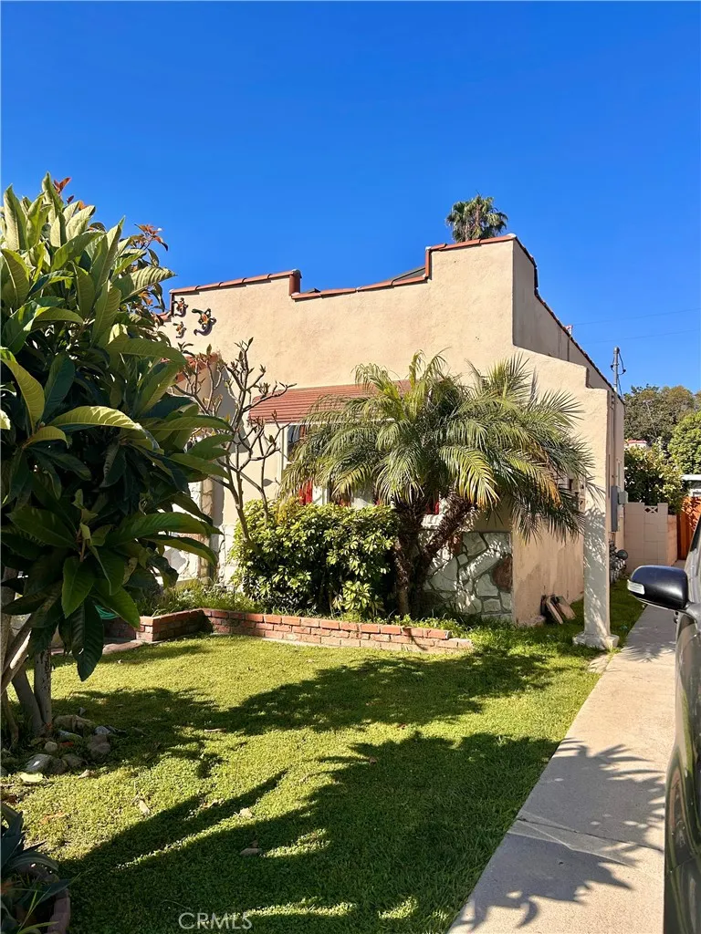Front Yard