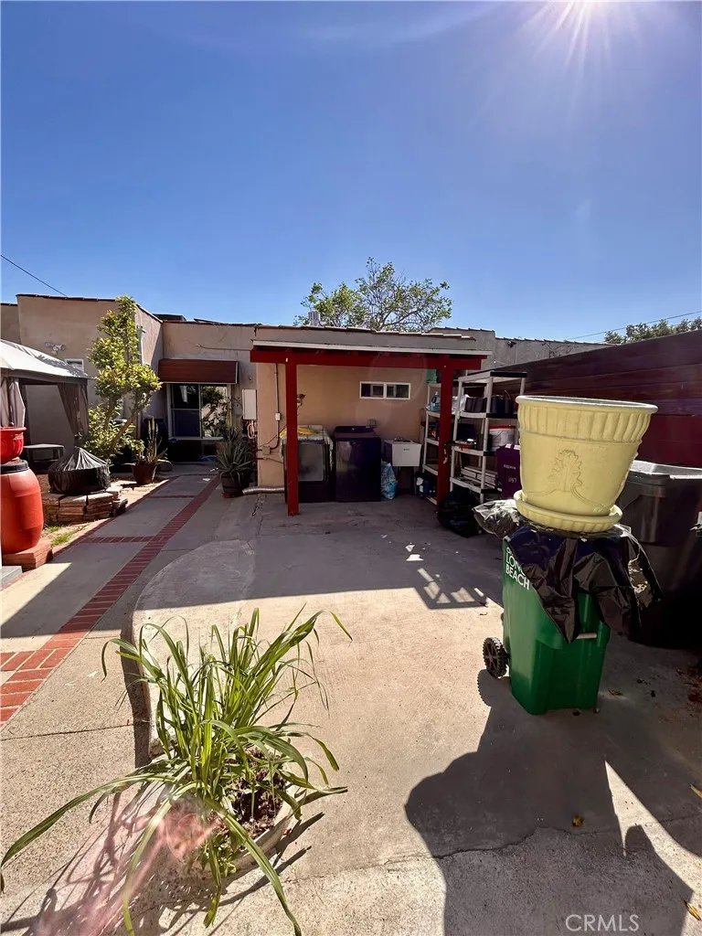 Common Back Yard