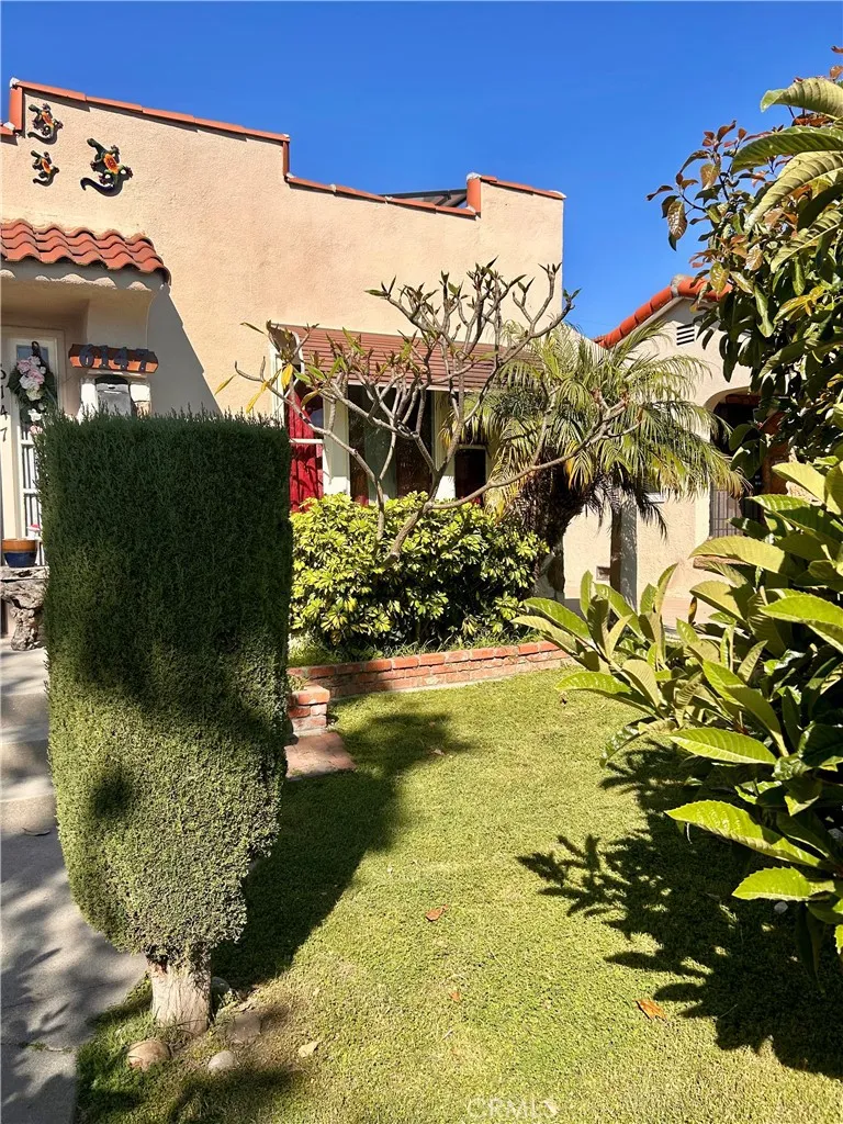Front Yard