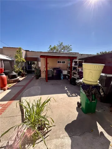 Common Back Yard