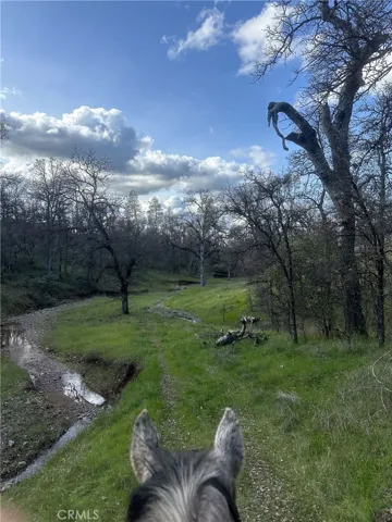 18020 Benson Road, Cottonwood, California 96022