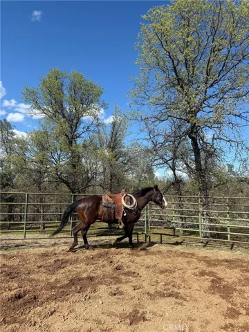 18020 Benson Road, Cottonwood, California 96022