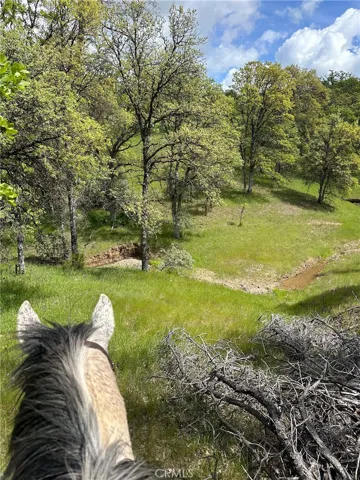 18020 Benson Road, Cottonwood, California 96022