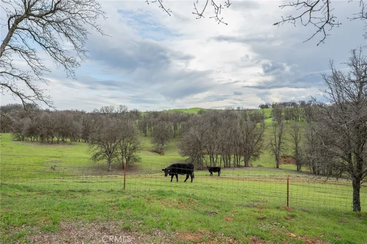 18020 Benson Road, Cottonwood, California 96022
