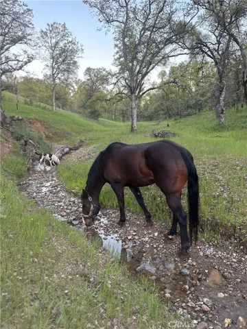 18020 Benson Road, Cottonwood, California 96022