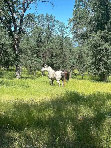 18020 Benson Road, Cottonwood, California 96022