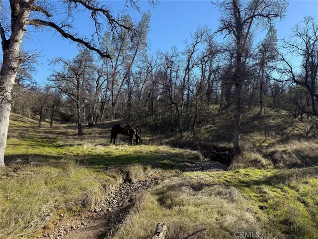 18020 Benson Road, Cottonwood, California 96022