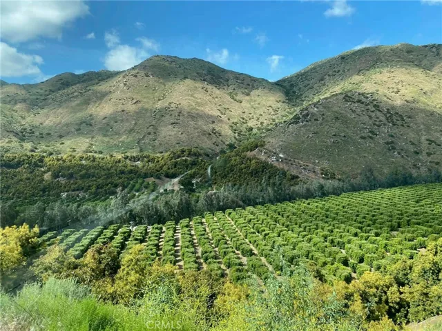 Scenic drive to Julian 2