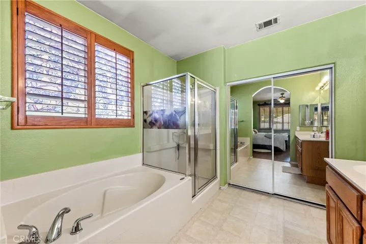 Primary bathroom with walk-in closet.