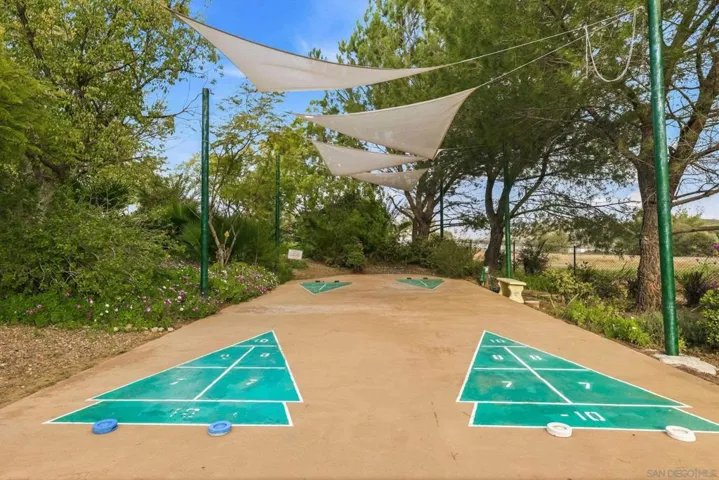 Shuffle Board
