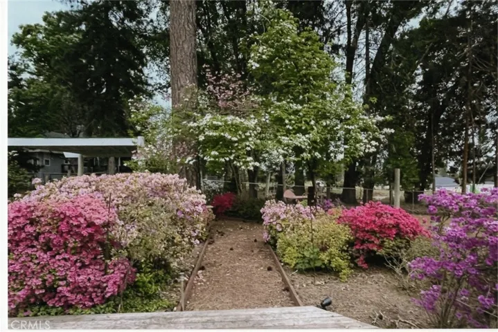spring at the home