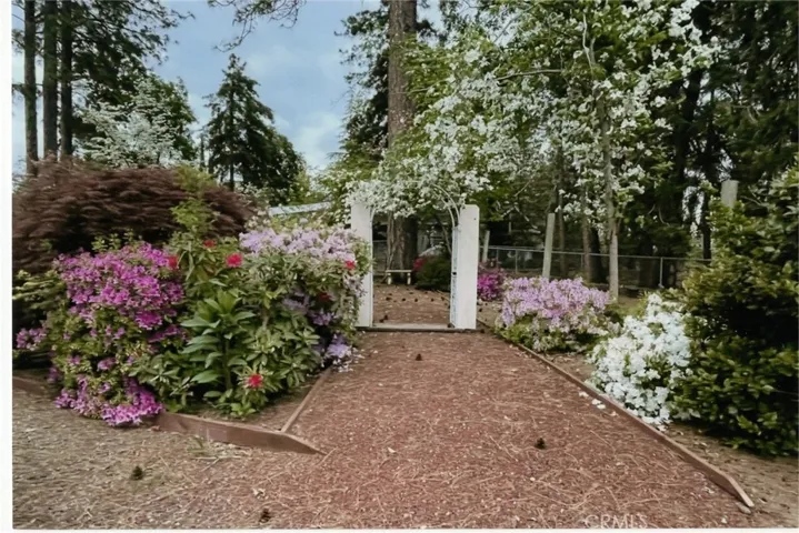 spring at the backyard