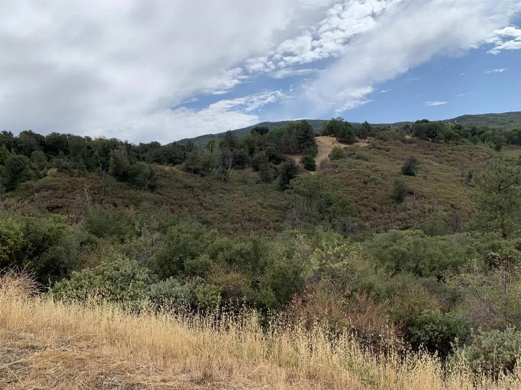 0 Incense Cedar Rd, Julian, California 92036 — photo 4